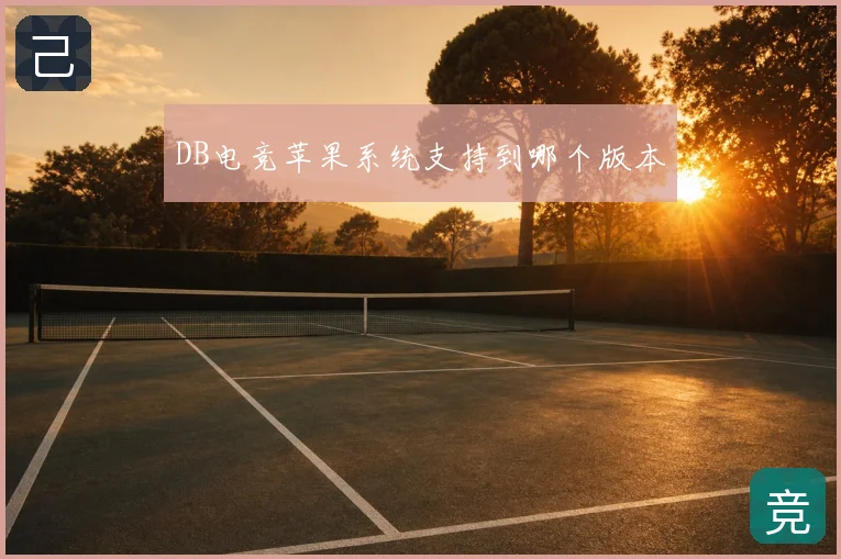 DB电竞苹果系统支持到哪个版本